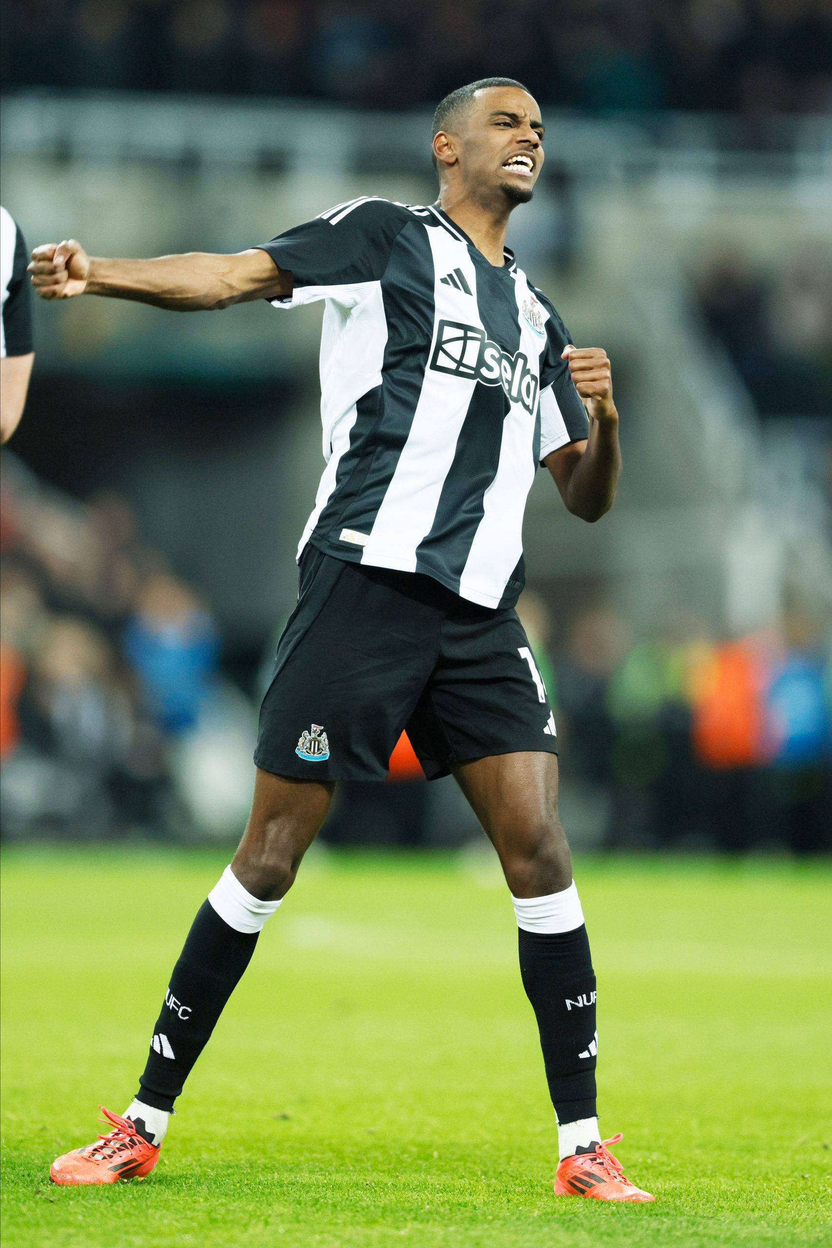 الغردقة: جنة البحر الأحمر وسياحة لا تُنسى