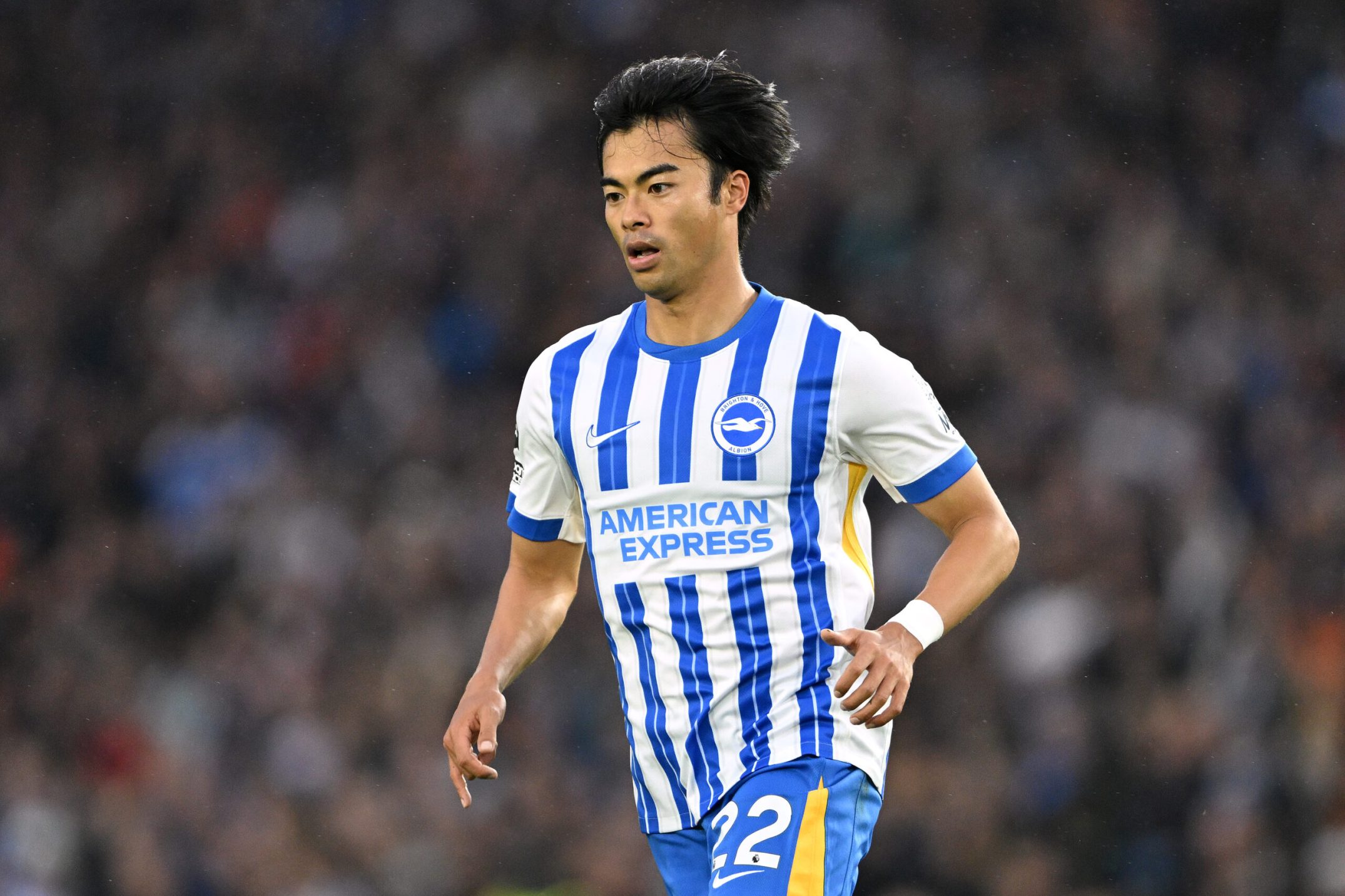 فريق برايتون لكرة القدم: ارتفاع النجومية في الدوري الإنجليزي