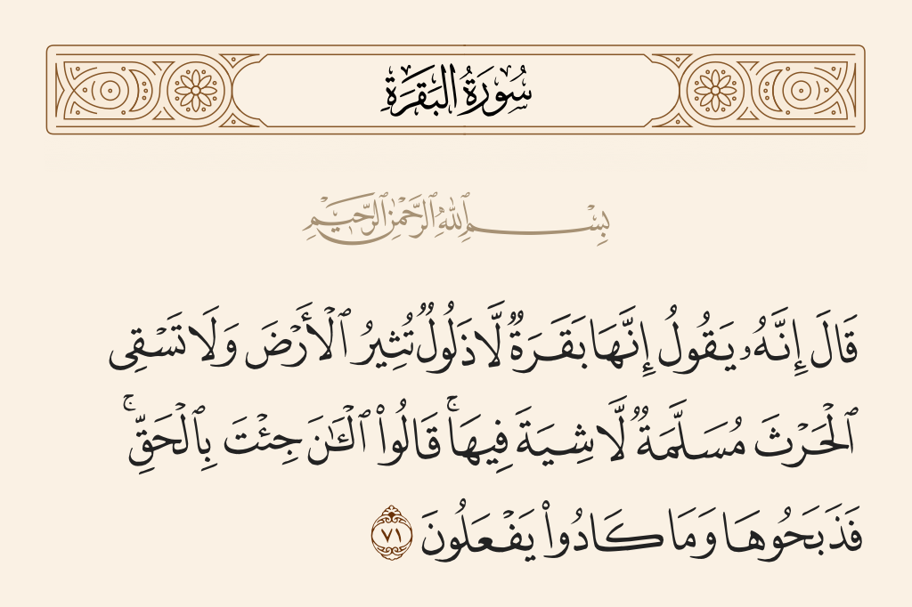 أهمية سورة البقرة في القرآن الكريم