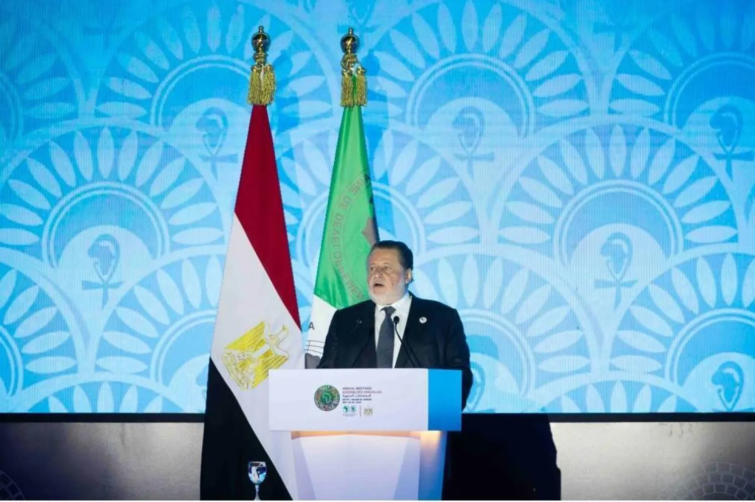 دور البنك المركزي المصري في تعزيز الاستقرار الاقتصادي