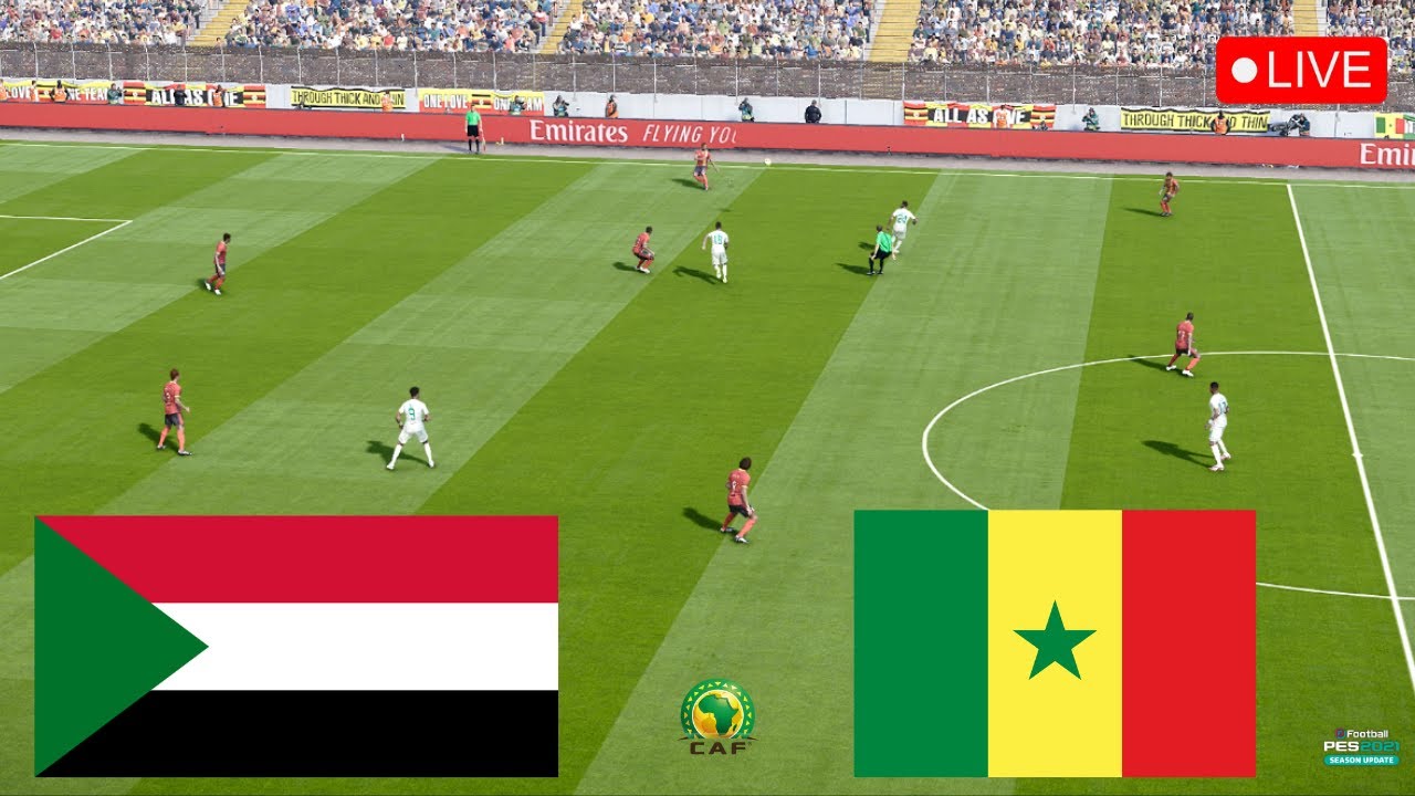 مباراة السودان ضد السنغال: التوقعات والتحليلات