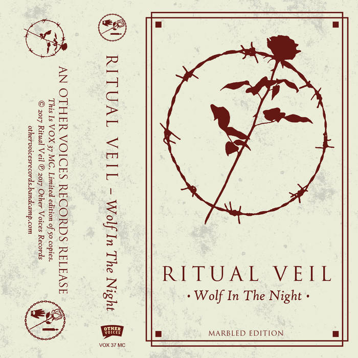 فوكس: تطور الإعلام ومستقبل الصحافة الرقمية