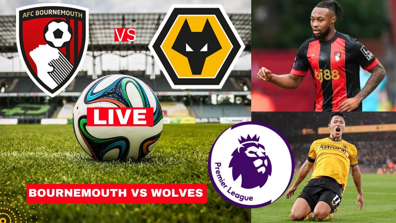 بورنموث ضد ولفرهامبتون: تحليل المباراة وأهميتها