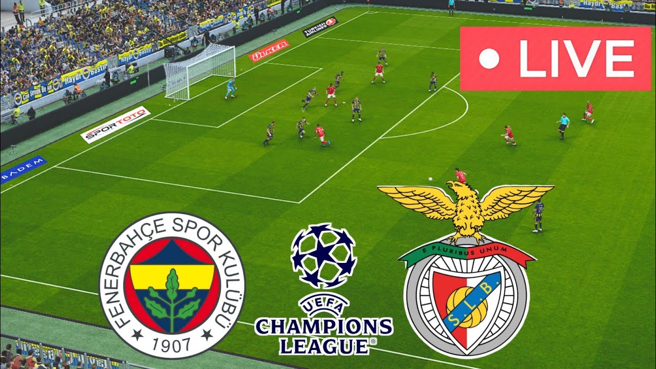 تحليل مباراة فنربخشة ضد بنفيكا في دوري أبطال أوروبا