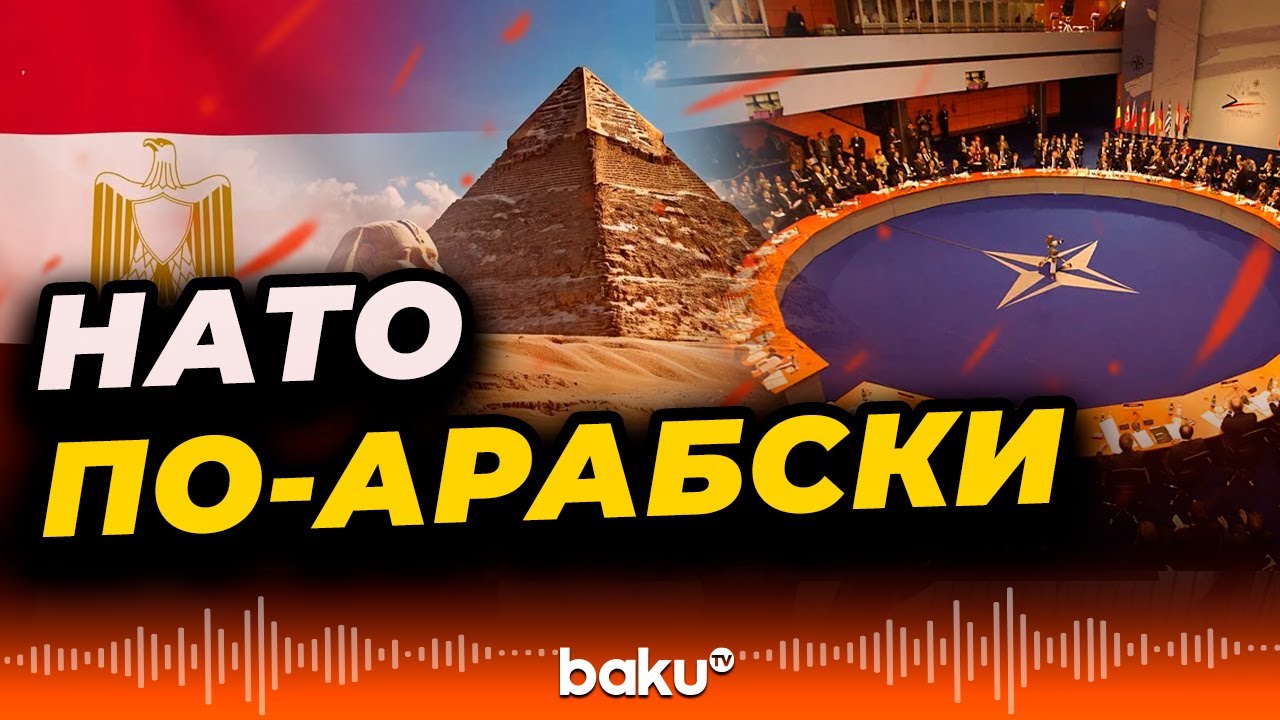 مصر ودورها في الناتو العربي: أهمية التحالفات الإقليمية