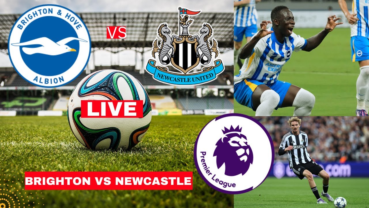 تحليل مباراة برايتون ضد نيوكاسل: تفوق أم تفوق؟