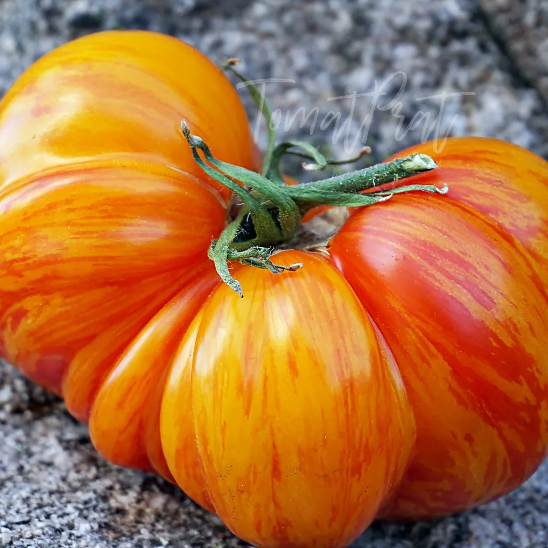 فوائد الطماطم وتأثيرها على الصحة