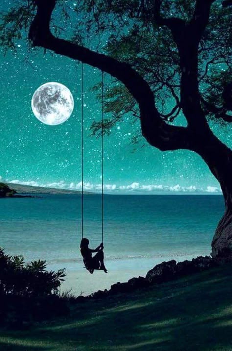 سعر الفائدة في مصر: قرارات حاسمة وتوقعات مستقبلية للعام 2025