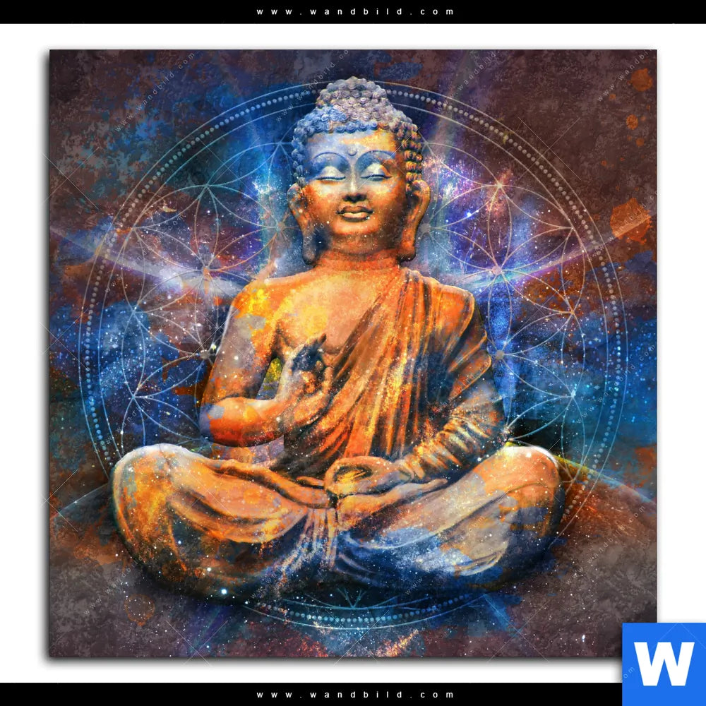 كورة بلس: منصة الرياضة المصرية الشاملة في عصر المحتوى الرقمي