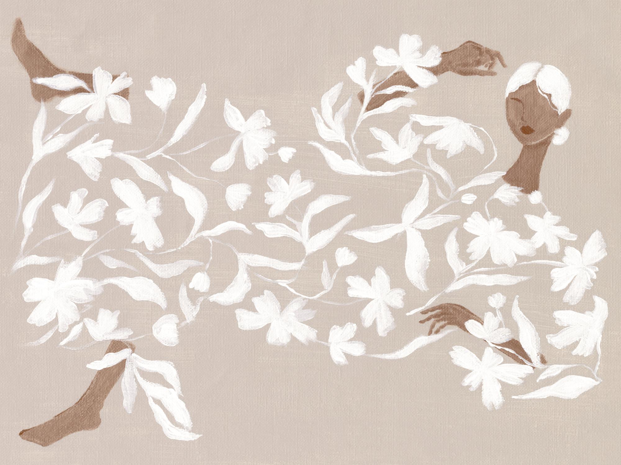 مجدي كامل يحصل على حكم قضائي ضد فادي خفاجة بتهمة السب والقذف