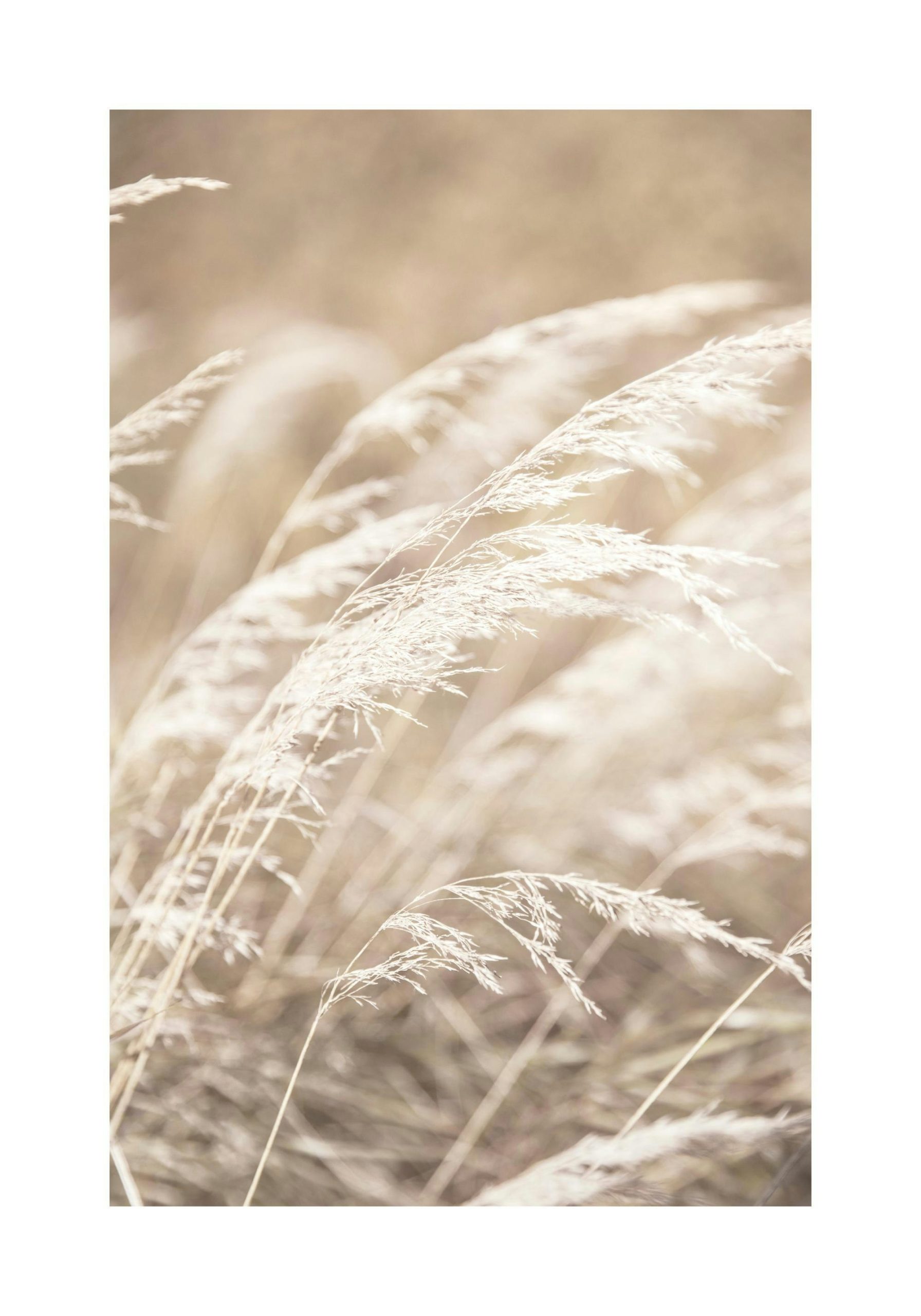 منى زكي: فيلم الست أصعب تحدٍ في مسيرتي الفنية