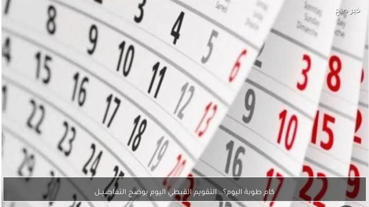 النهارده كم طوبة؟ لمحة عن تقويم طوبة 2026 وسنة 1742