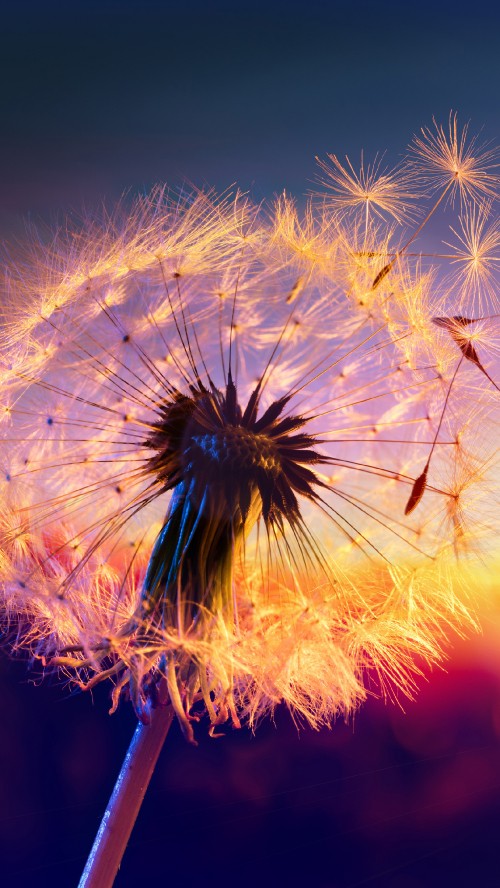 ليدز يفرض التعادل على مان يونايتد في ديربي الورود