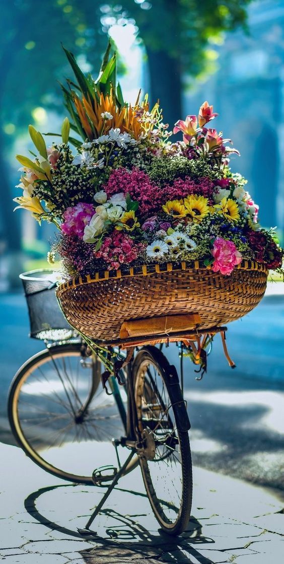 ميعاد ماتش مصر والسنغال: موعد نصف نهائي كأس أمم أفريقيا 2025