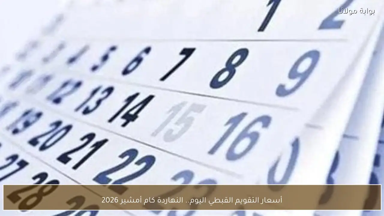 كهرباء الإسماعيلية نادي الزمالك: الزمالك يتغلب بخماسية ويصعد لوصافة الدوري
