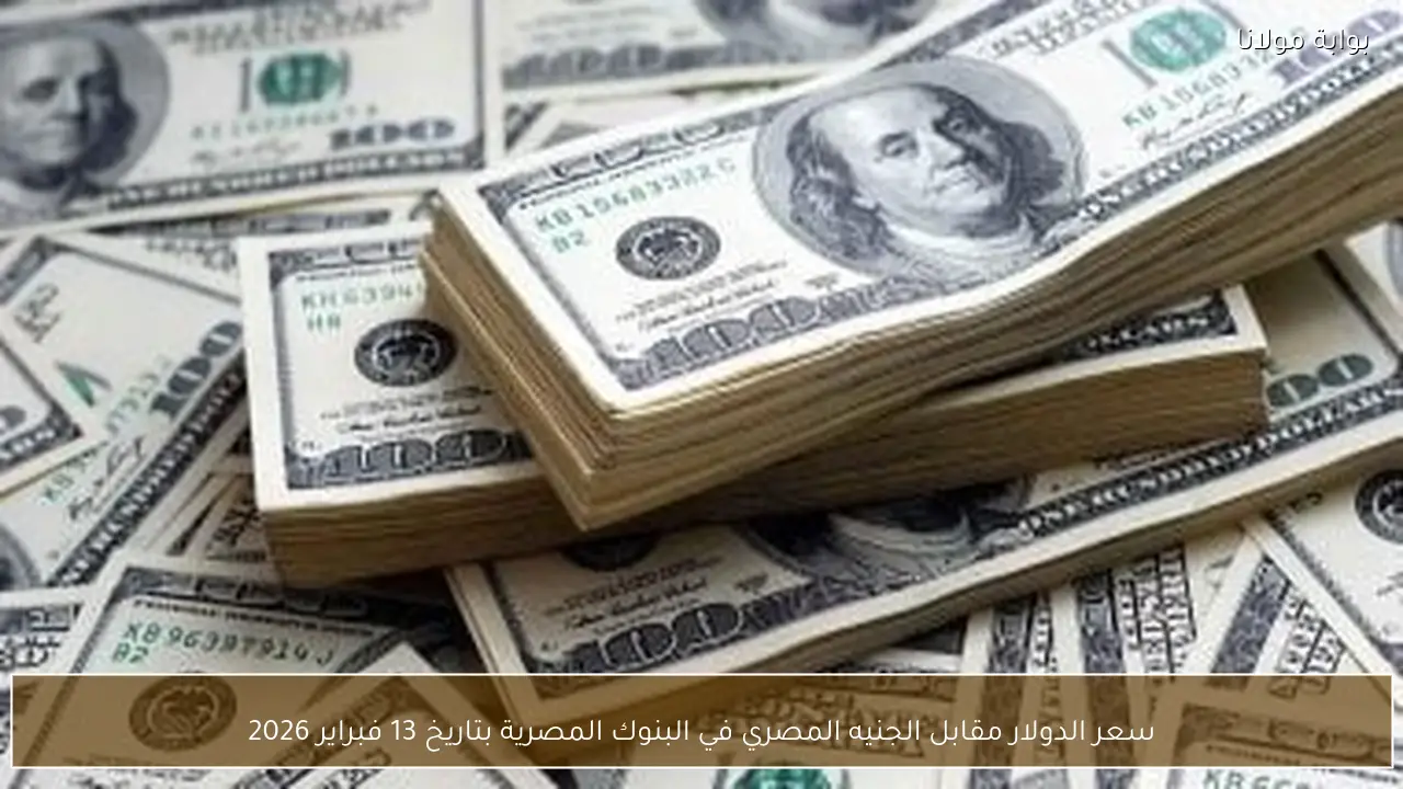 تحديث سعر الدولار في مصر: السوق الموازية وبنك مصر